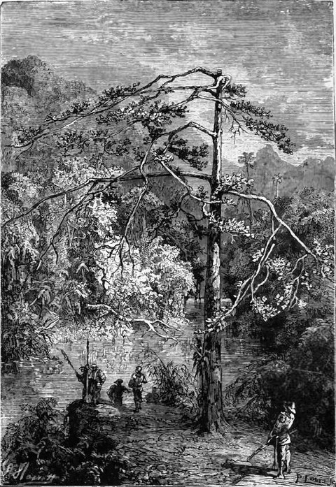 Columbus named it the Vale of Paradise